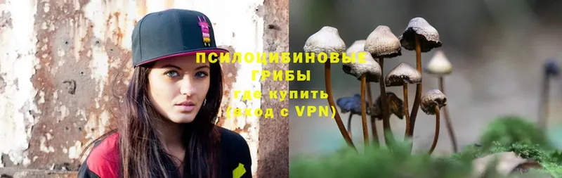 Галлюциногенные грибы MAGIC MUSHROOMS  Алатырь 