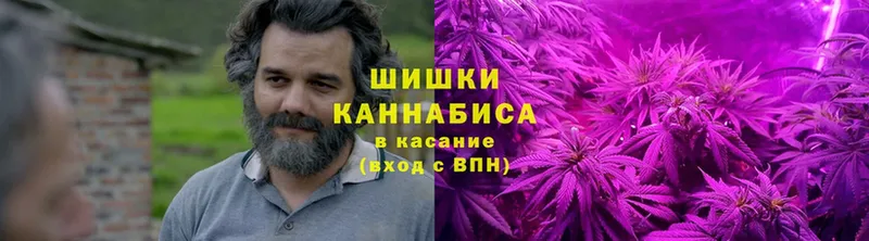 купить закладку  Алатырь  Канабис SATIVA & INDICA 